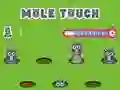 Gra Pole Touch w Internecie