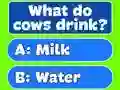 Gra Trivia Best Family Quiz w Internecie