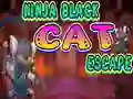 Gra Ninja Black Cat Escape w Internecie