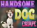 Gra Handsome Dog Escape w Internecie