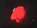 Gra Second Blink: You Can (Not) Get w Internecie