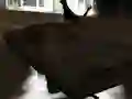 Gra Drift Z w Internecie