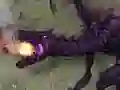 Gra Minecraft Ender Dragon Challenge w Internecie