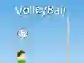 Gra VolleyBall w Internecie