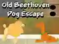 Gra Old Beethoven Dog Escape w Internecie