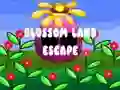 Gra Blossom Land Escape w Internecie