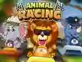 Gra Animal Racing w Internecie