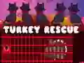 Gra Turkey Rescue w Internecie