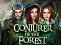 Gra Conjurer Of The Forest w Internecie