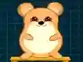 Gra Hamster Grid Average w Internecie