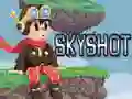 Gra Skyshot w Internecie