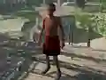 Gra Black Apocalypse w Internecie