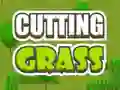 Gra Cutting Grass w Internecie