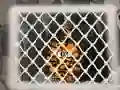 Gra Tiger Escape 1 w Internecie