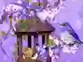 Gra Wonderful Humming Bird Land Escape w Internecie