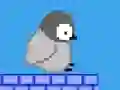 Gra Roll Penguin game w Internecie