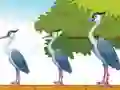 Gra Violet Bird Escape w Internecie