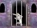 Gra Victory Rabbit Escape w Internecie