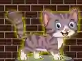Gra Loveable Small Cat Escape w Internecie