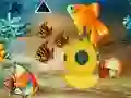 Gra Save The Mother Fish w Internecie