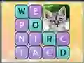 Gra Word Search Pictures w Internecie