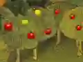 Gra Golden Apple Archery w Internecie