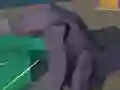 Gra Hakaiju w Internecie