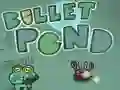 Gra Bullet Pond w Internecie