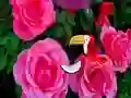 Gra Precious Rose Escape w Internecie