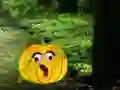 Gra Help The Hungry Monkey w Internecie