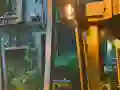 Gra Playful Tortoise Escape w Internecie