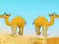 Gra Desert Gold Rush The Great Treasure Escape w Internecie