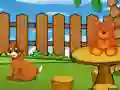 Gra Funny Iguana Escape w Internecie