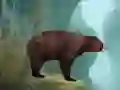 Gra Caged Tiger Cub Escape w Internecie