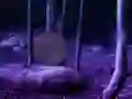 Gra Enchanted Dark Jungle Escape w Internecie