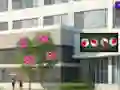 Gra Escape From The Hospital w Internecie