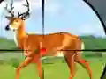 Gra Wild Hunt Hunting Games 3D w Internecie