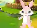 Gra Find The Buddy Rabbit w Internecie