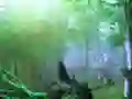 Gra Trapped Honeybee Escape w Internecie