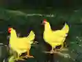 Gra Dark Foggy Land Escape w Internecie