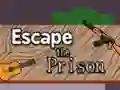 Gra Escape the Prison w Internecie