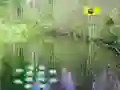 Gra Sunlight Forest Adventure w Internecie