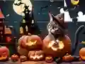 Gra Jigsaw Puzzle: Halloween Cat w Internecie
