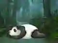 Gra Wakeup The Sleeping Panda w Internecie