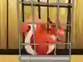 Gra Rescue The Red Squirrel From Cage w Internecie