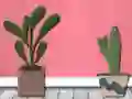 Gra Find Houseplant w Internecie