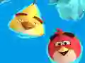 Gra Coloring Book: Angry Birds w Internecie