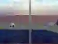 Gra Escape from the House with Turtles w Internecie