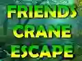 Gra Friends Crane Escape w Internecie