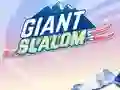 Gra Giant Slalom w Internecie